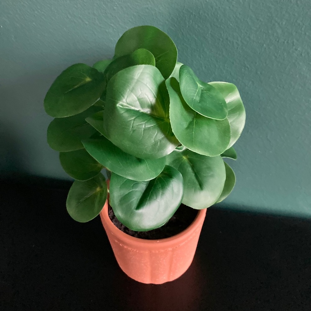 Hearth & Hand Faux Pilea Plant - Picture 5 of 6